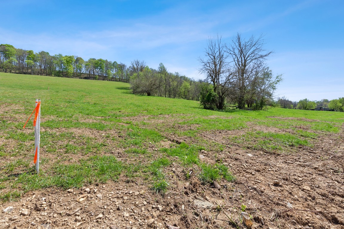2 Granville Highway Property Photo 12