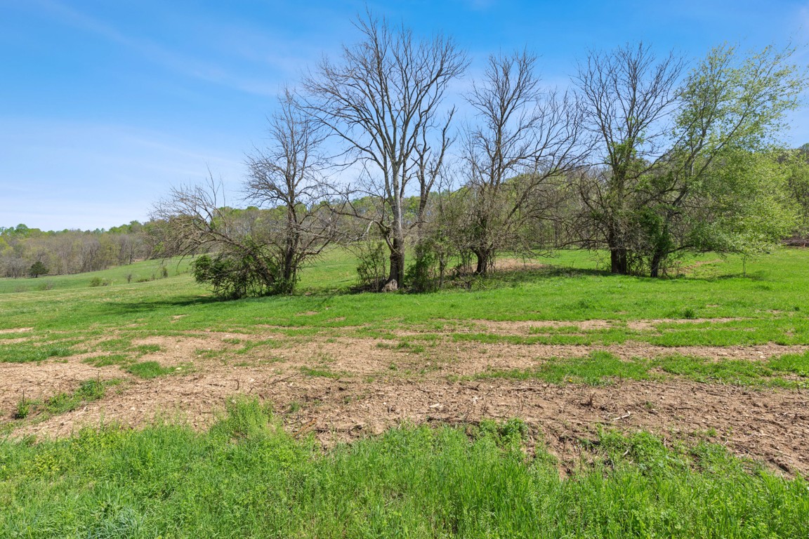 2 Granville Highway Property Photo 15