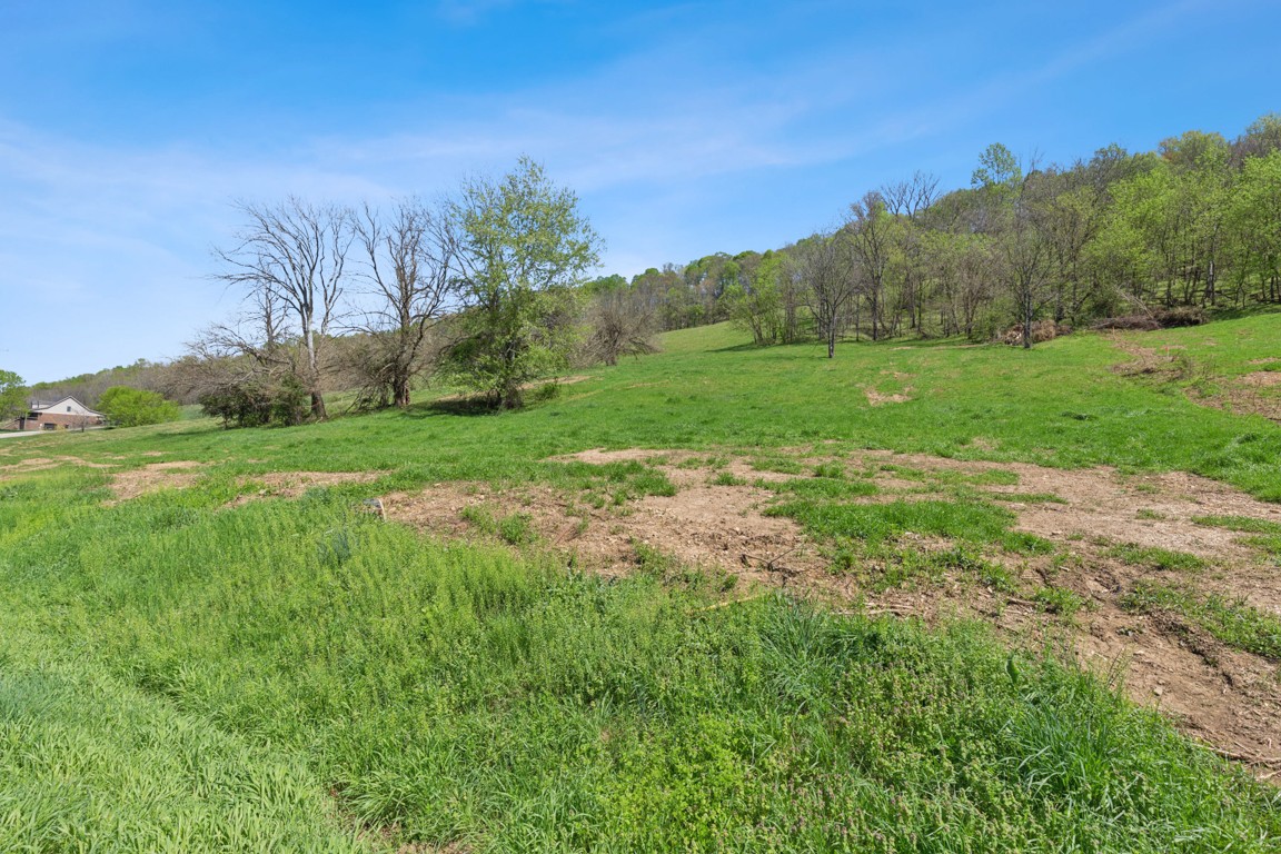 2 Granville Highway Property Photo 16