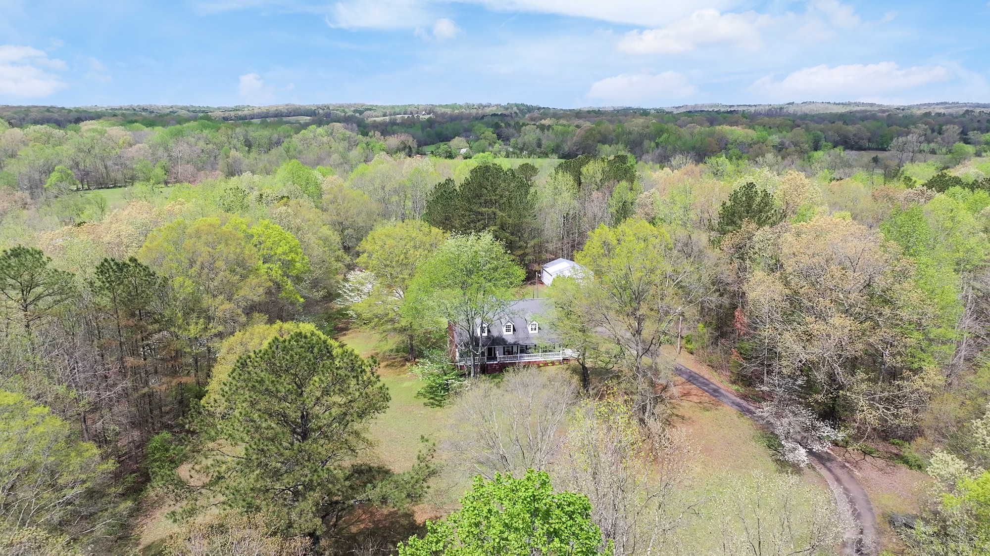 229 Copper Branch Ln Property Photo