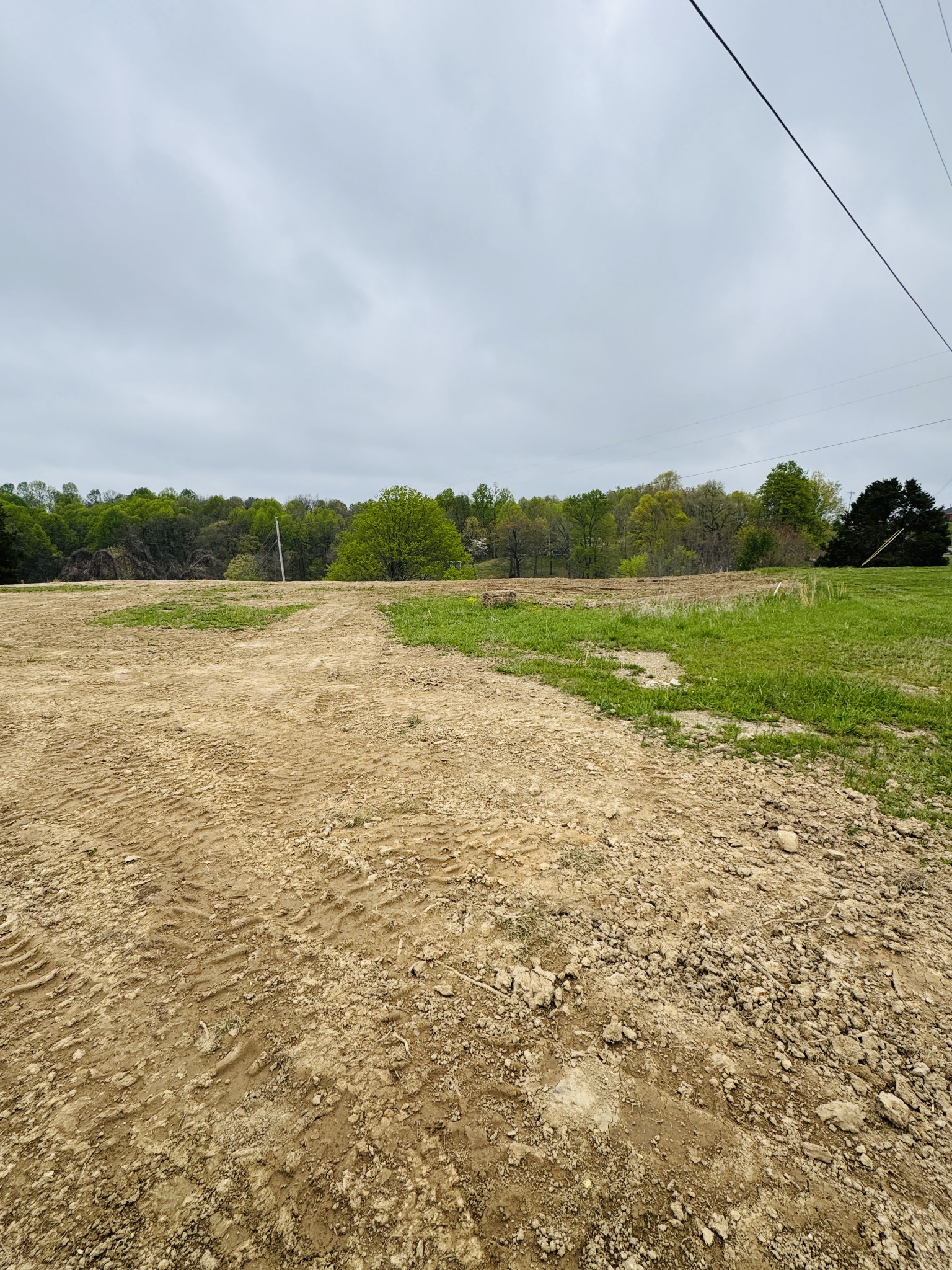 393 Leaths Branch Rd Property Photo 11