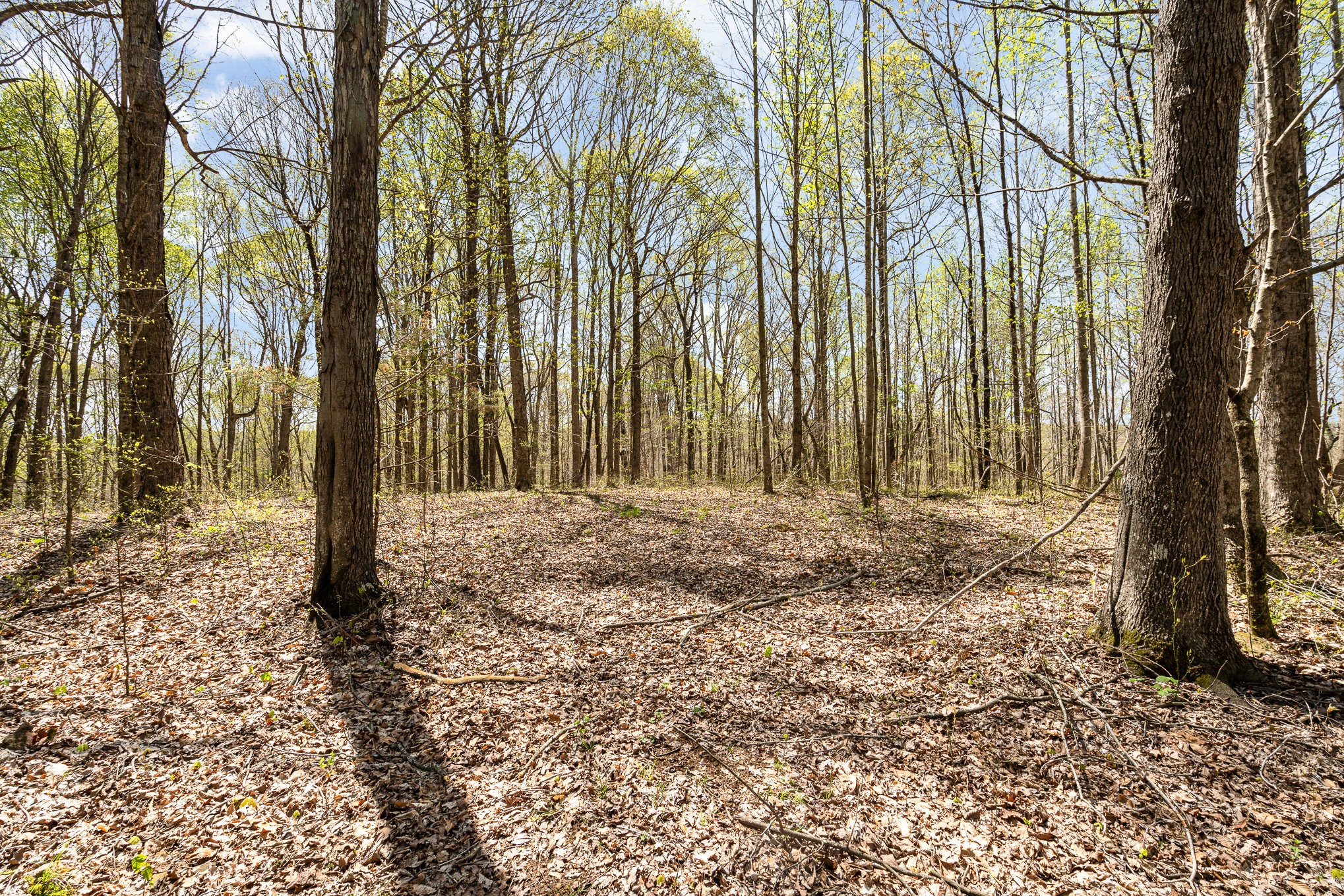 8698 Poplar Creek Rd Property Photo 2