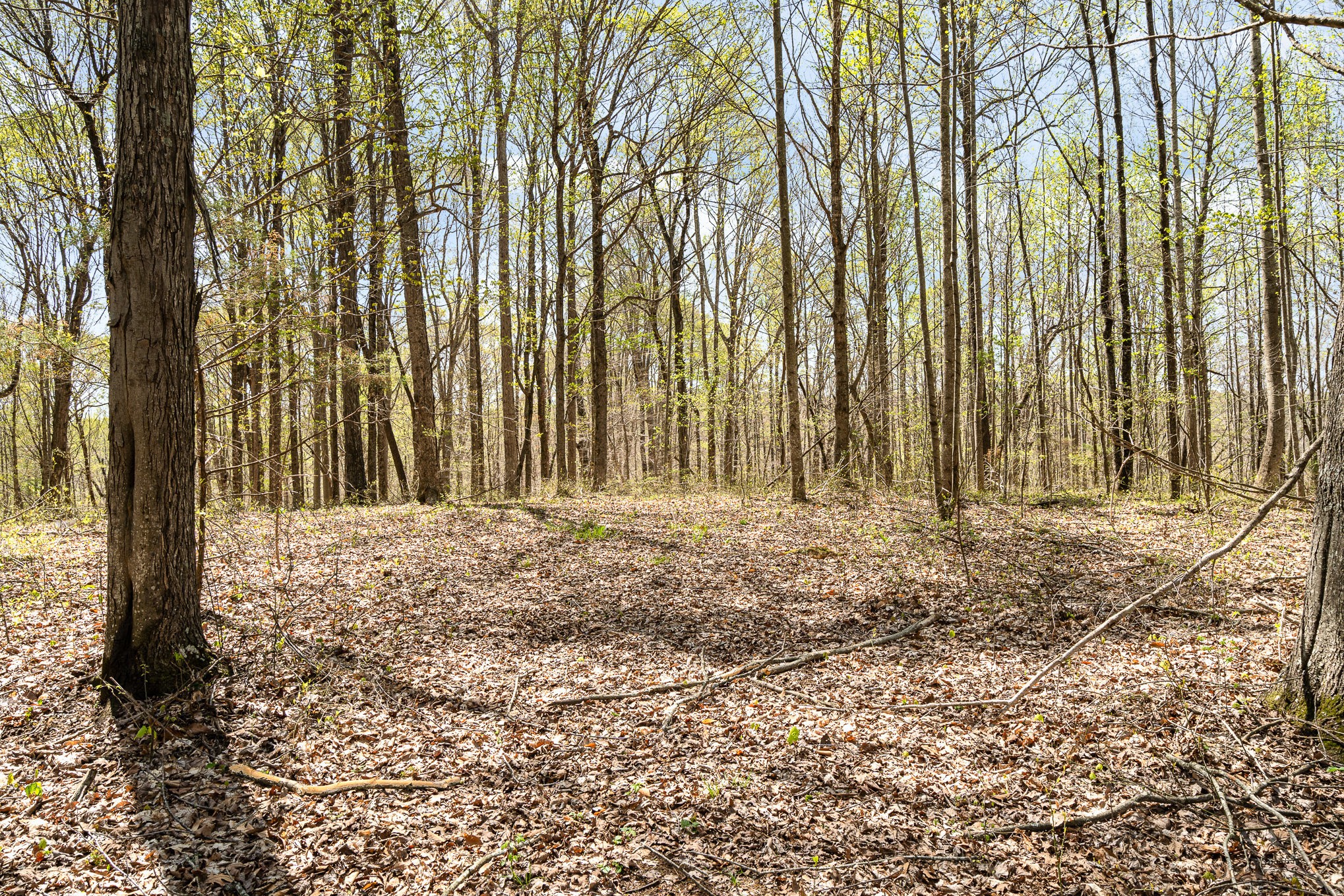 8698 Poplar Creek Rd Property Photo 3