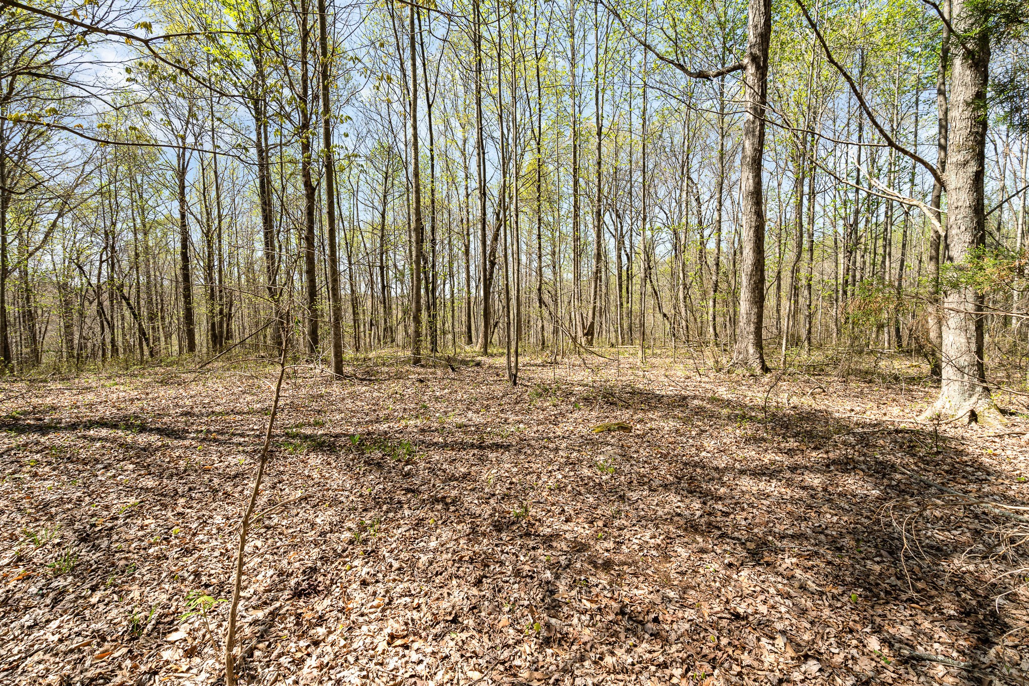 8698 Poplar Creek Rd Property Photo 4