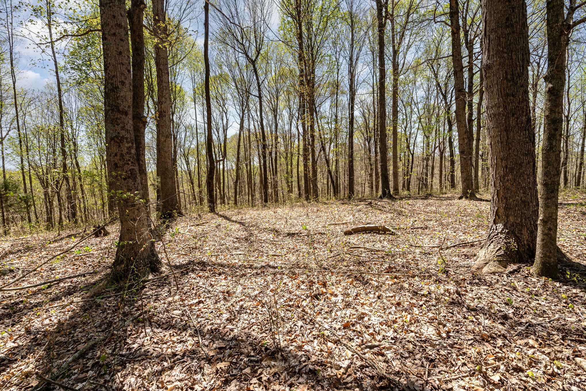8698 Poplar Creek Rd Property Photo 6