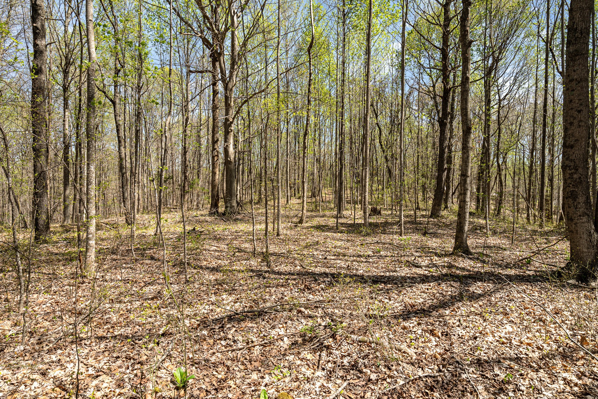 8698 Poplar Creek Rd Property Photo 7