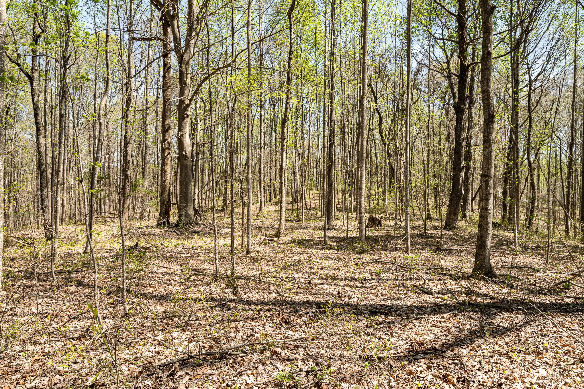 8698 Poplar Creek Rd Property Photo 8