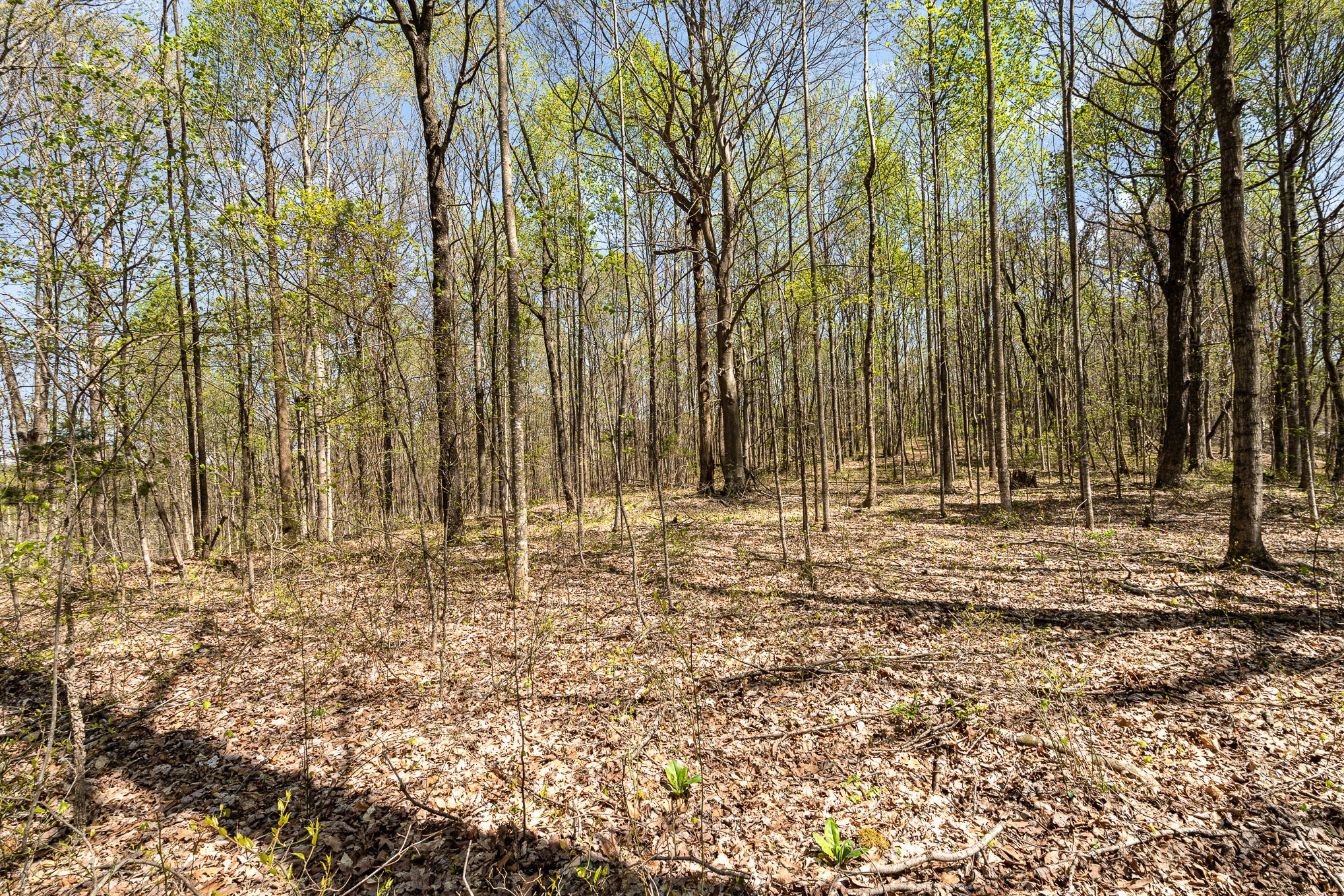 8698 Poplar Creek Rd Property Photo 9