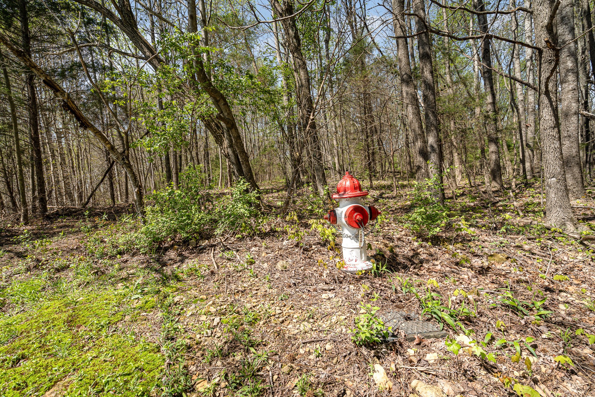 8698 Poplar Creek Rd Property Photo 10