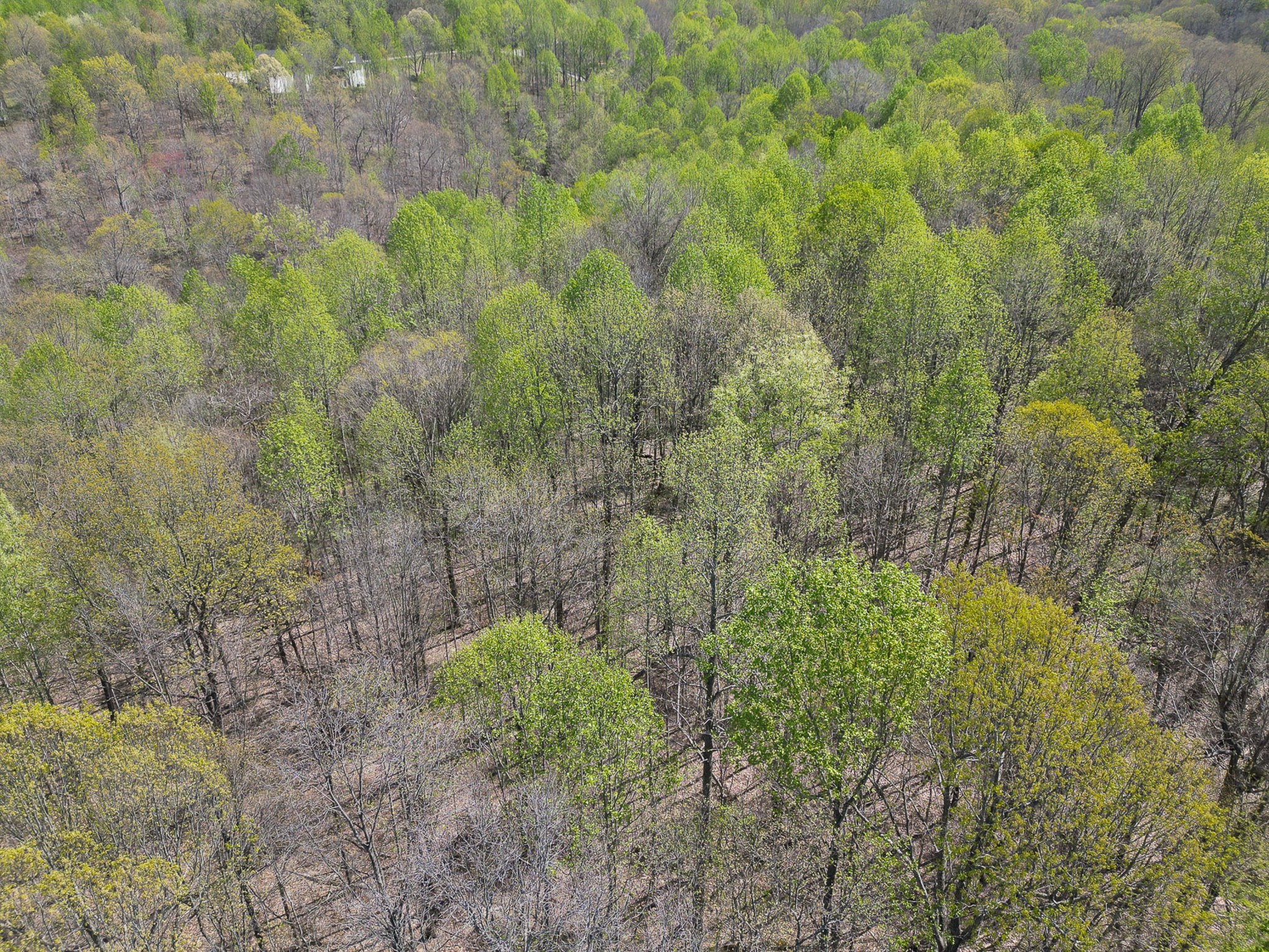8698 Poplar Creek Rd Property Photo 11