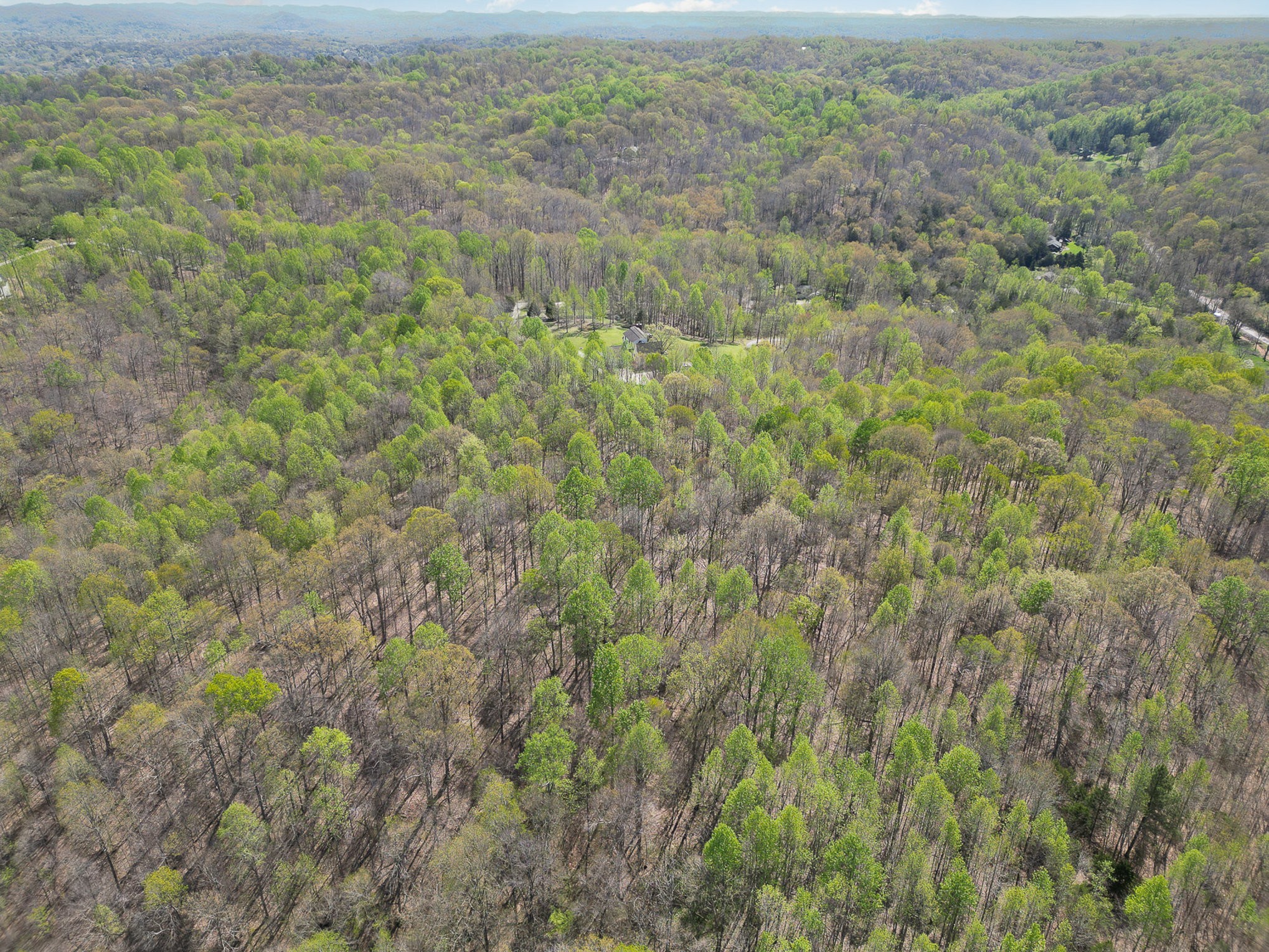 8698 Poplar Creek Rd Property Photo 12