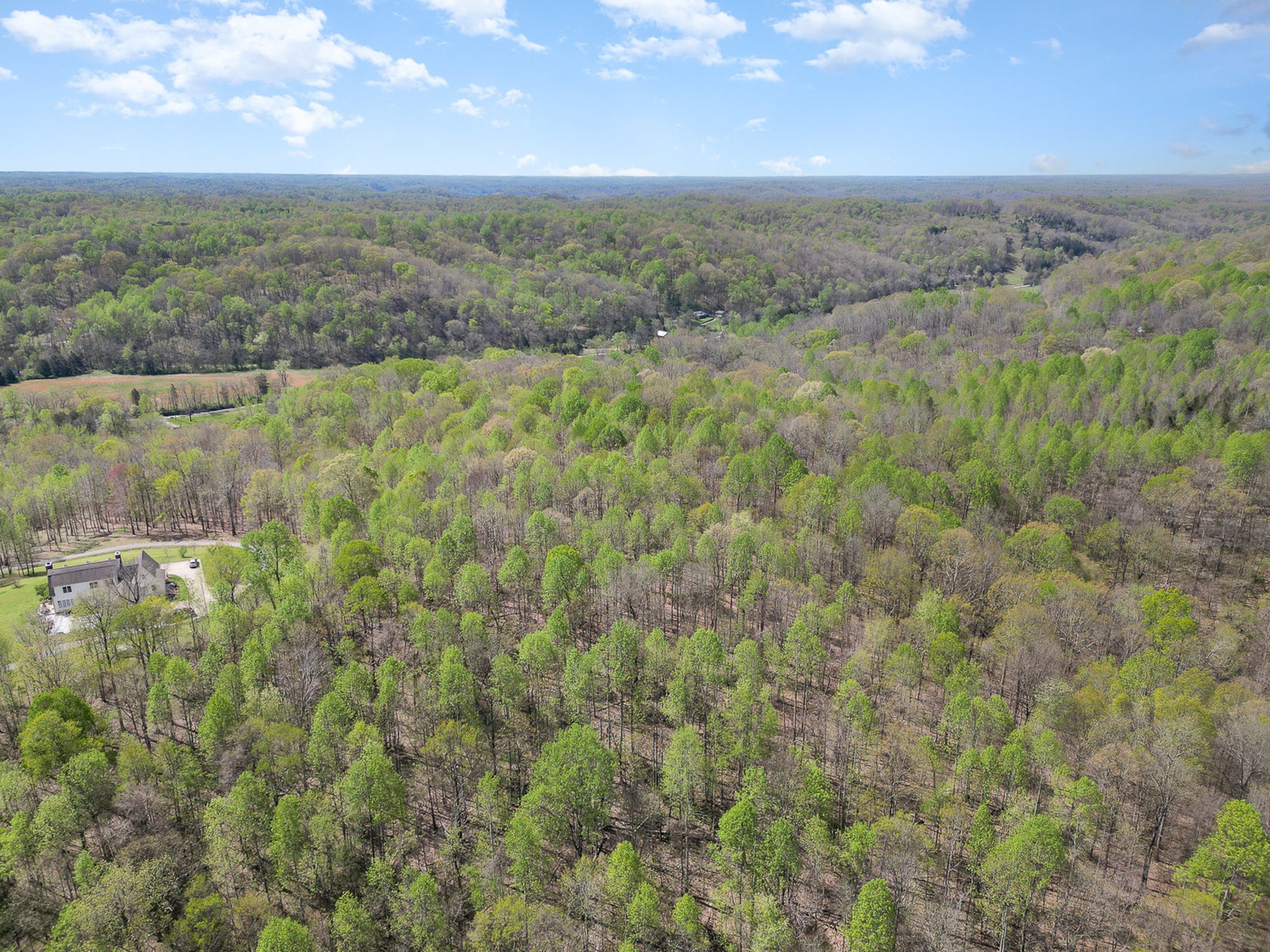 8698 Poplar Creek Rd Property Photo 15