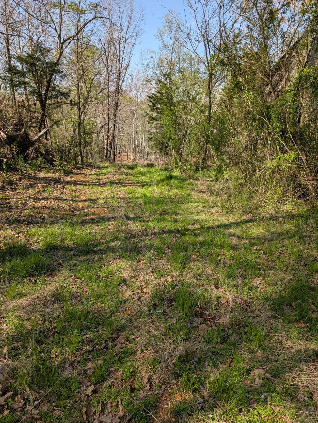 0 Nw Piney And S Of Eno Road, Nw Property Photo 2