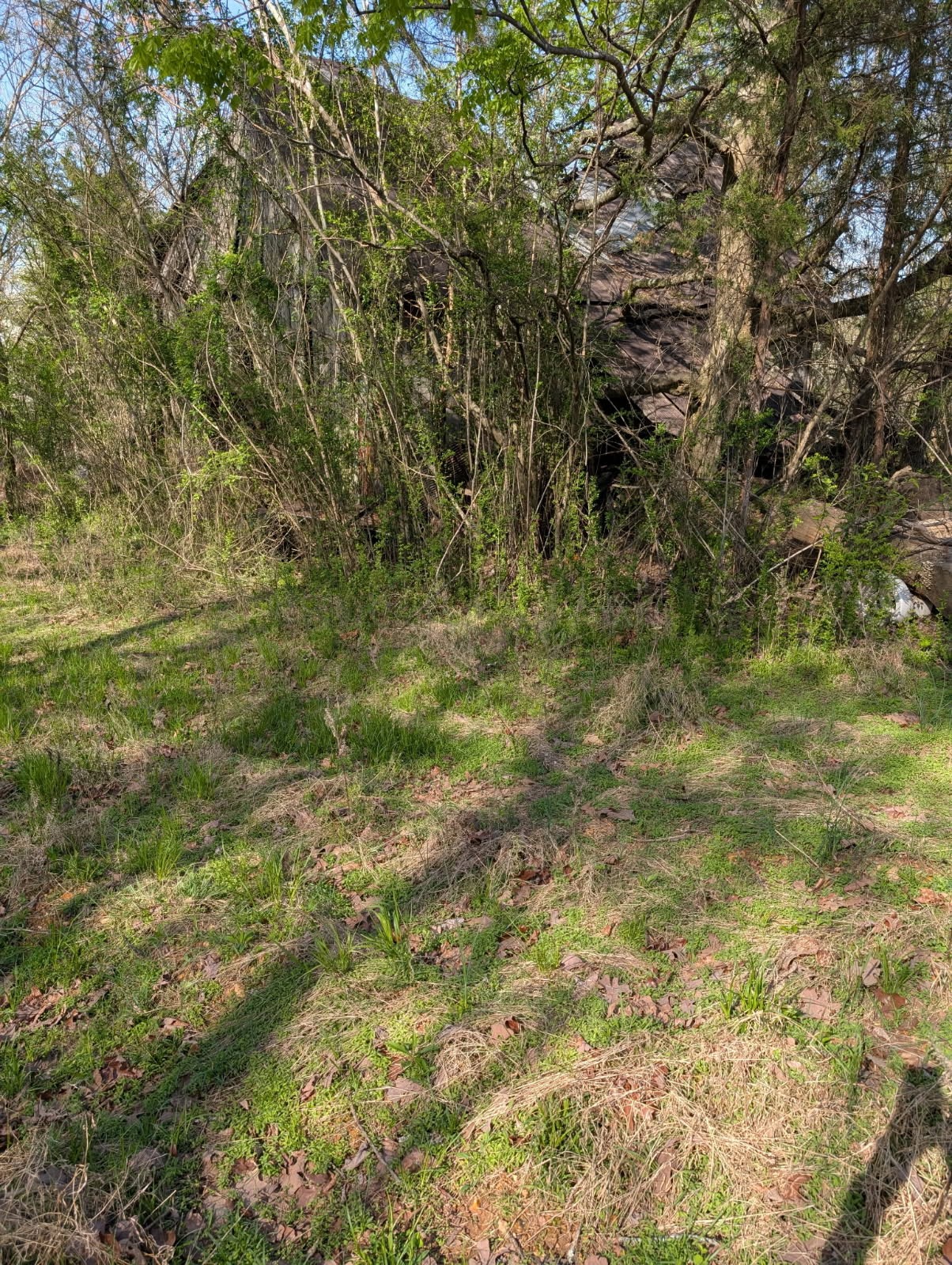 0 Nw Piney And S Of Eno Road, Nw Property Photo 3