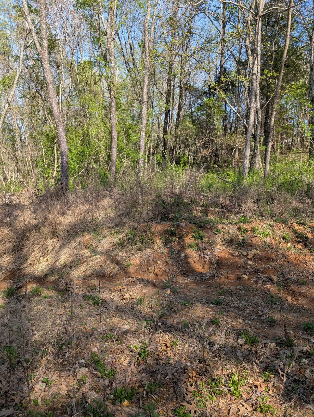 0 Nw Piney And S Of Eno Road, Nw Property Photo 4