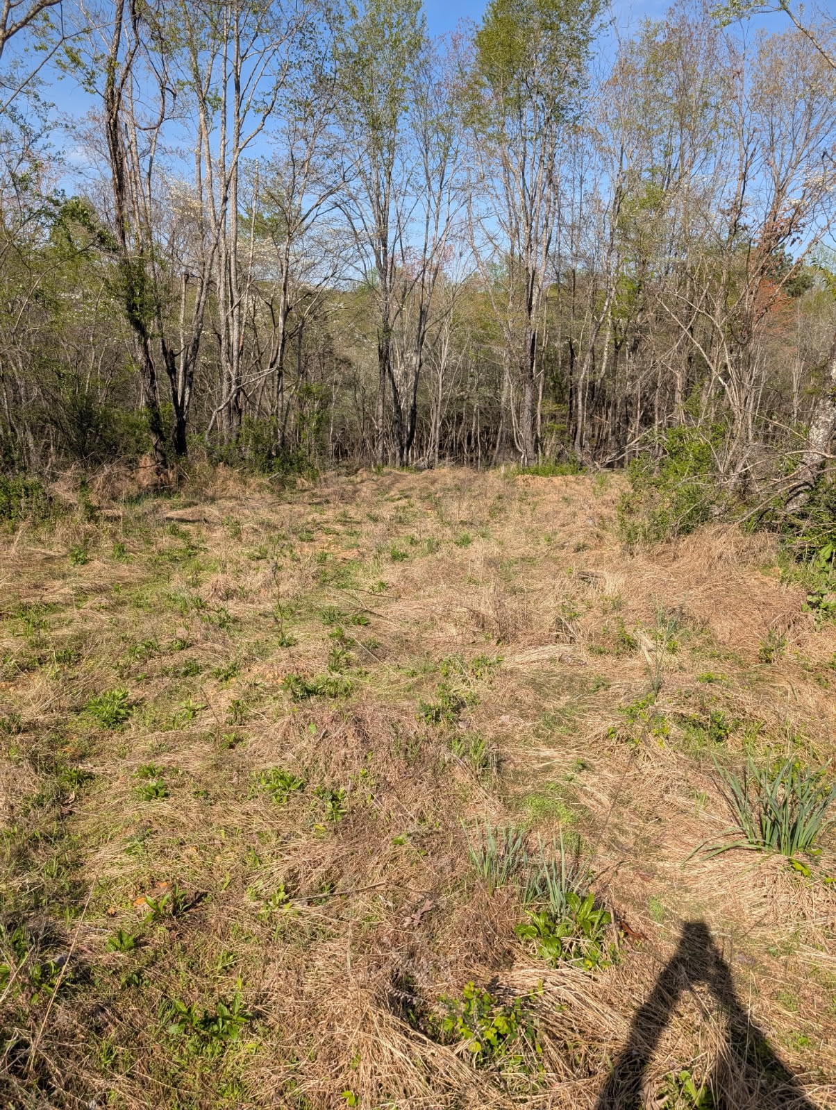 0 Nw Piney And S Of Eno Road, Nw Property Photo 5