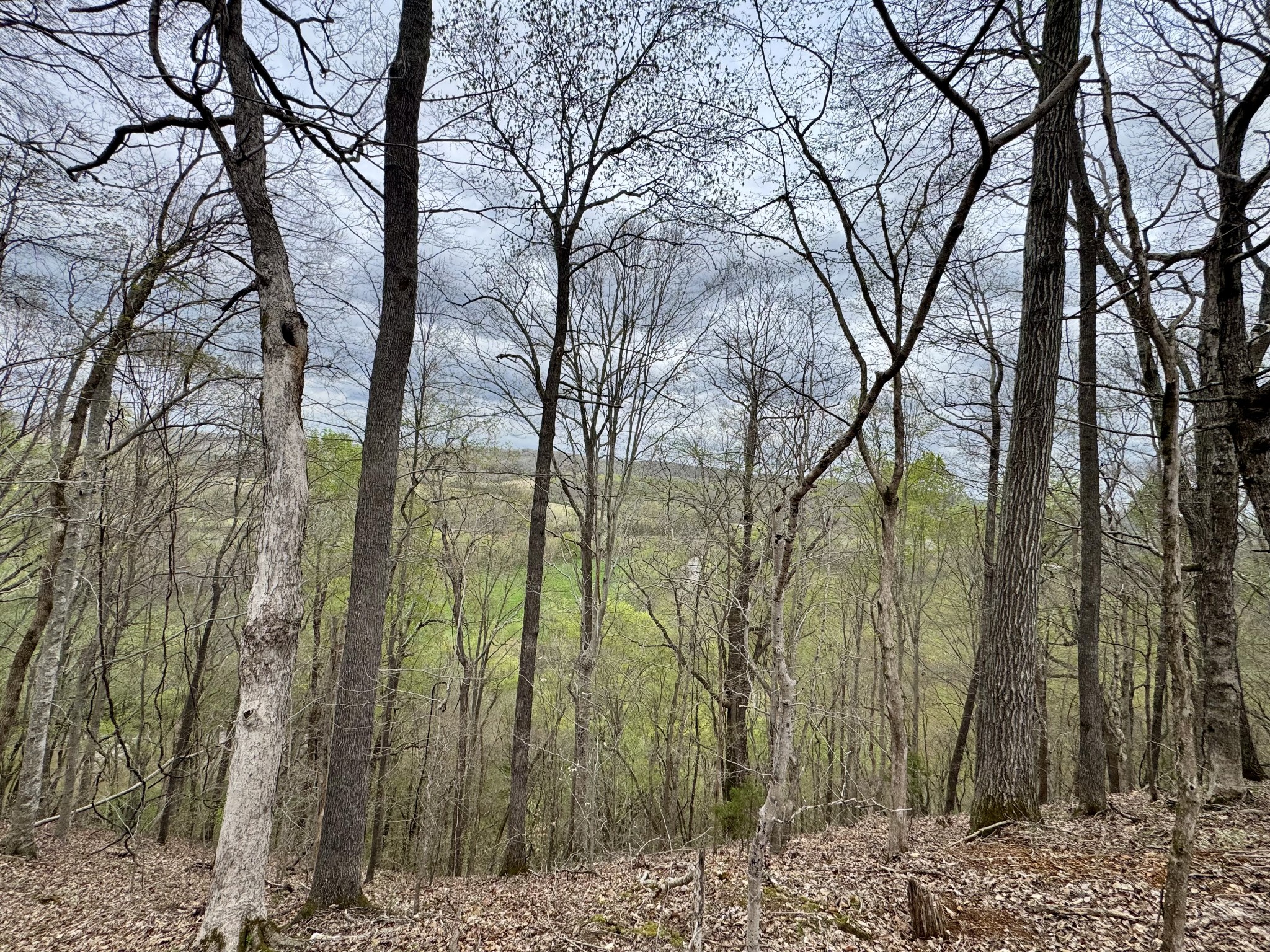 0 Mason Bates Bend Road Property Photo