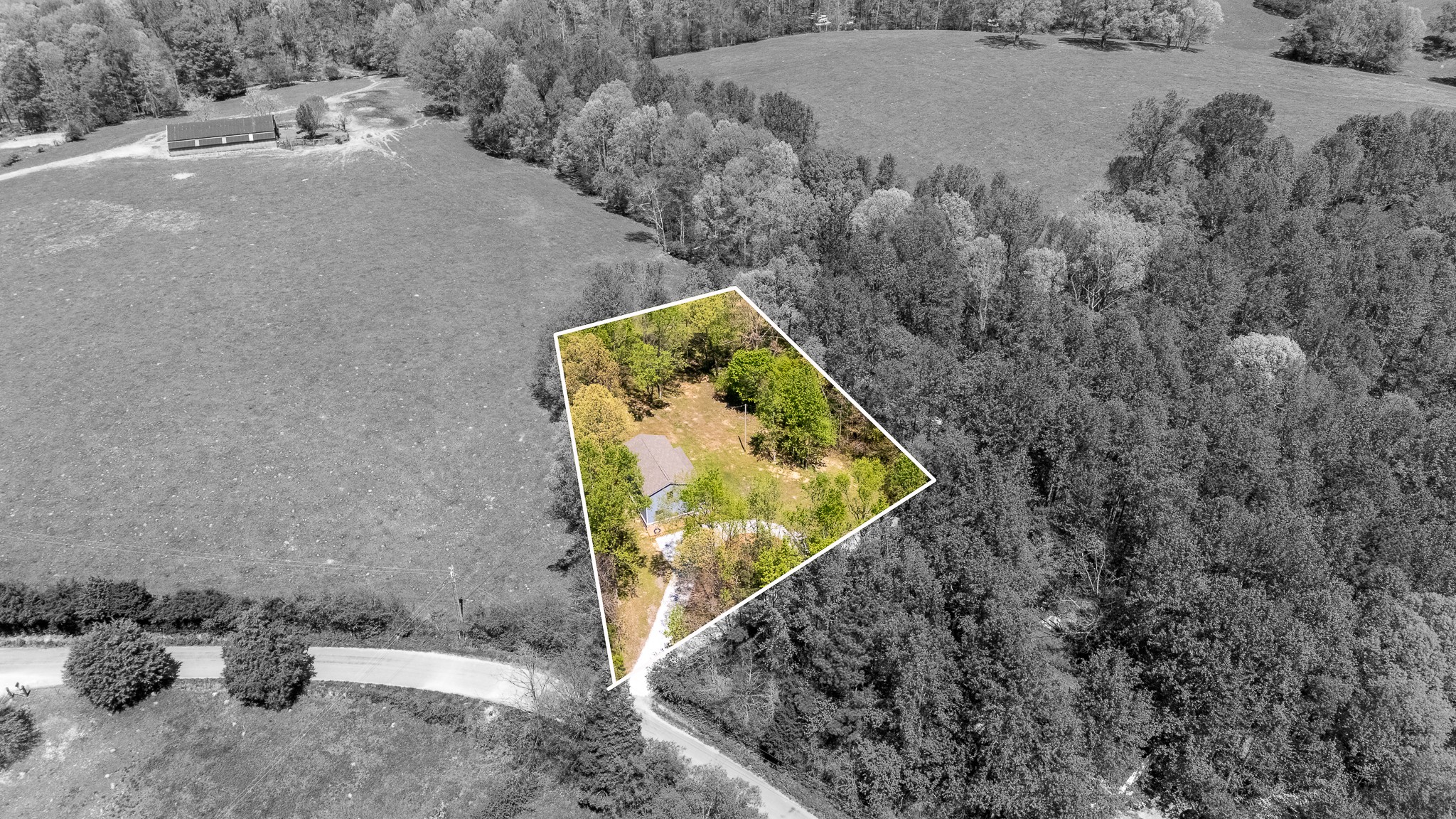 50 Kelton Rd Property Photo 5