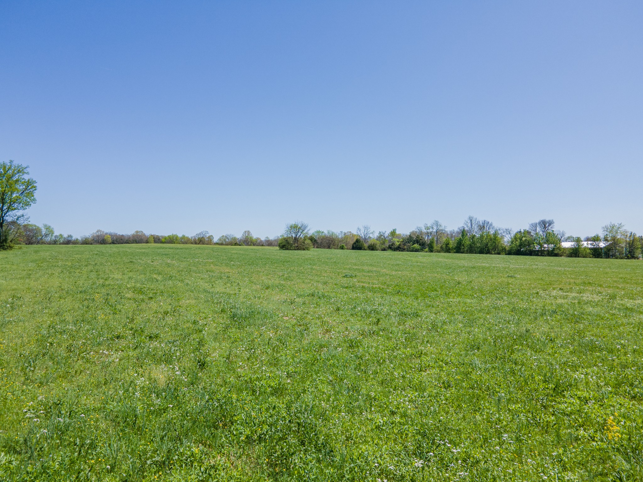 0 Nashville Highway Property Photo 5