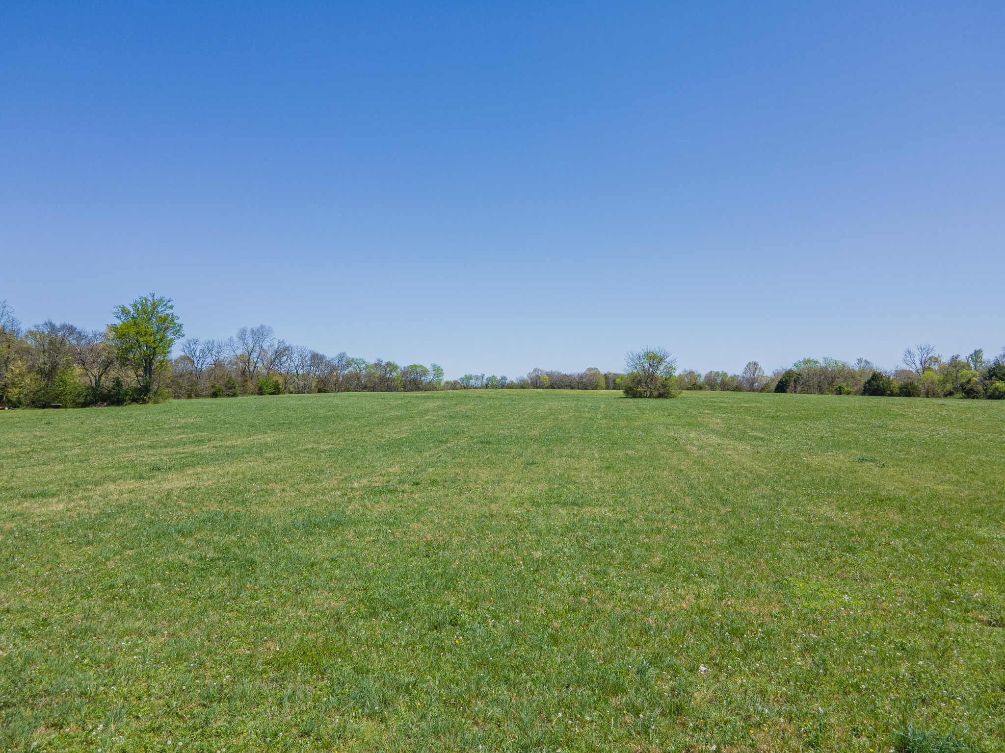 0 Nashville Highway Property Photo 6
