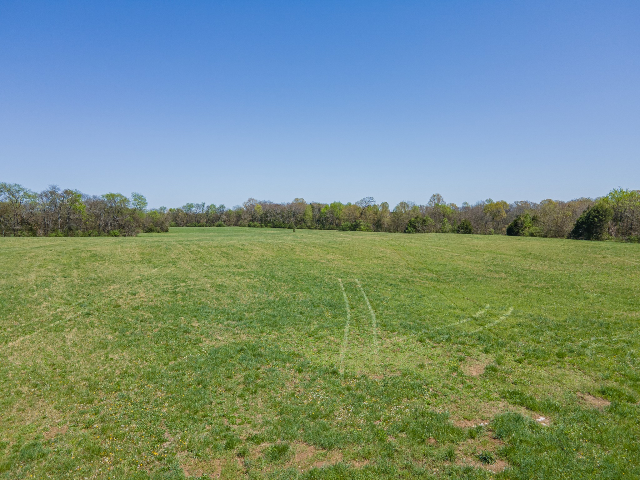 0 Nashville Highway Property Photo 10