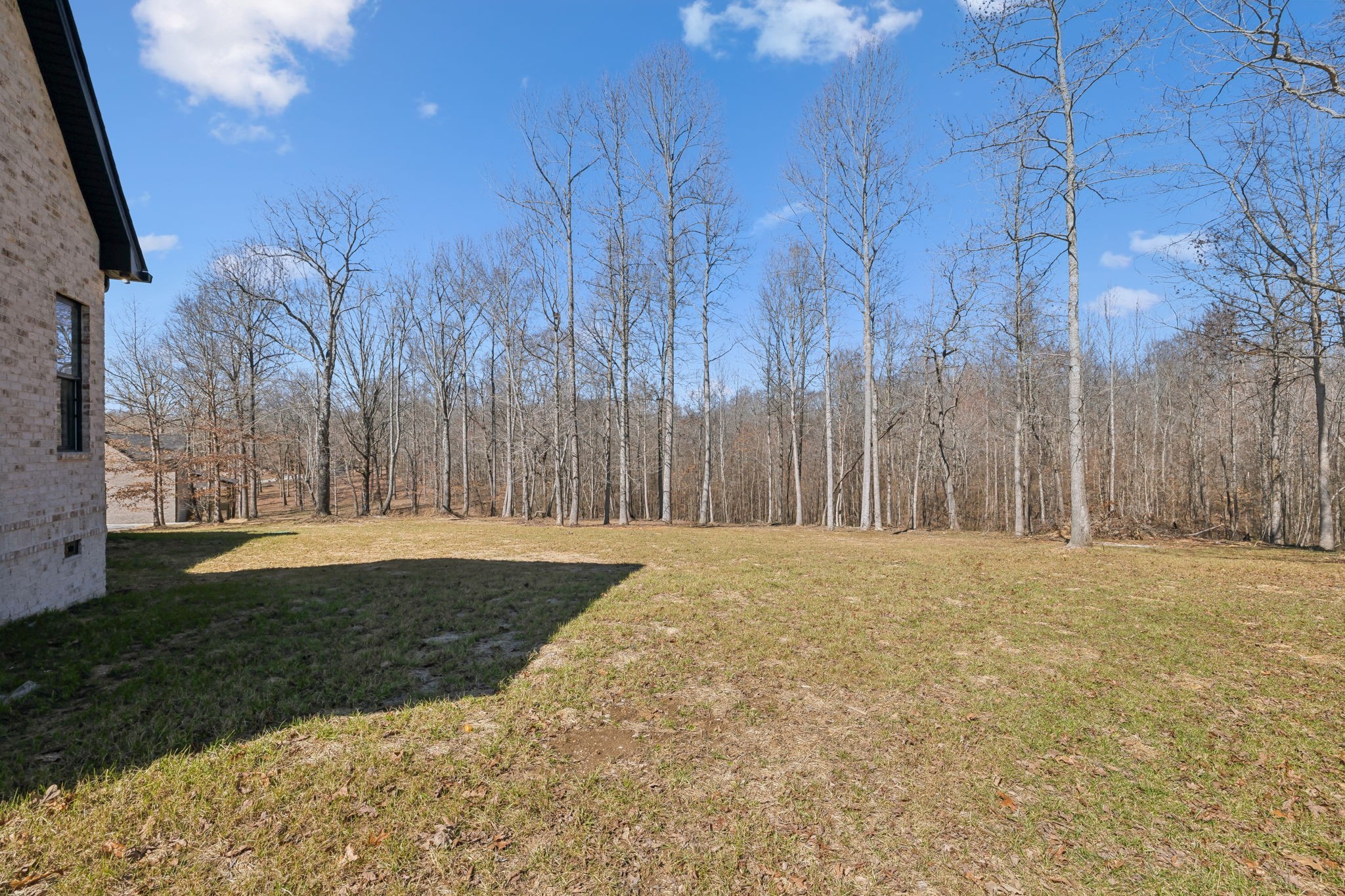 10015 Charleston Dr Property Photo 53