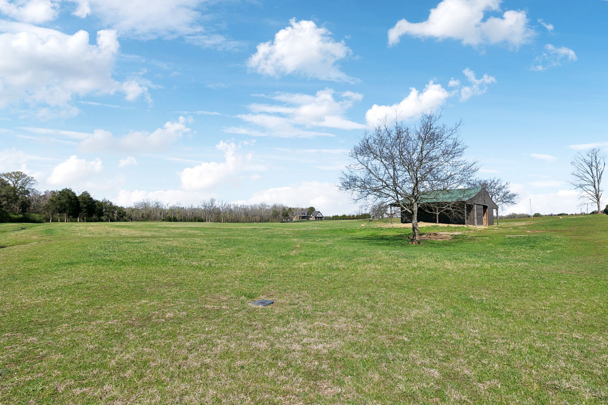 3162 Franklin Pike Property Photo 8