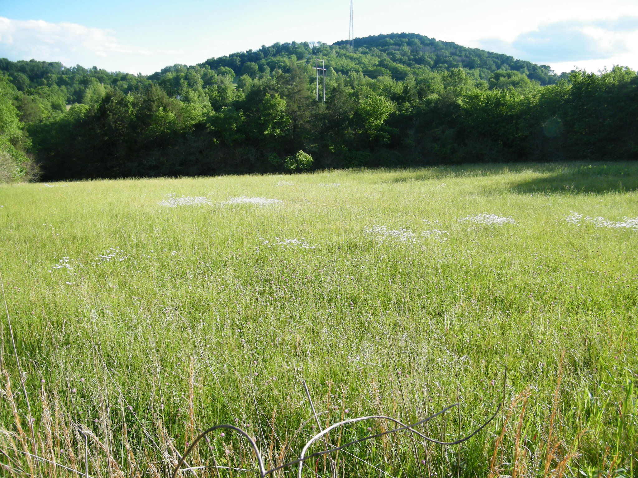 4 Sleepy Hollow Road Property Photo