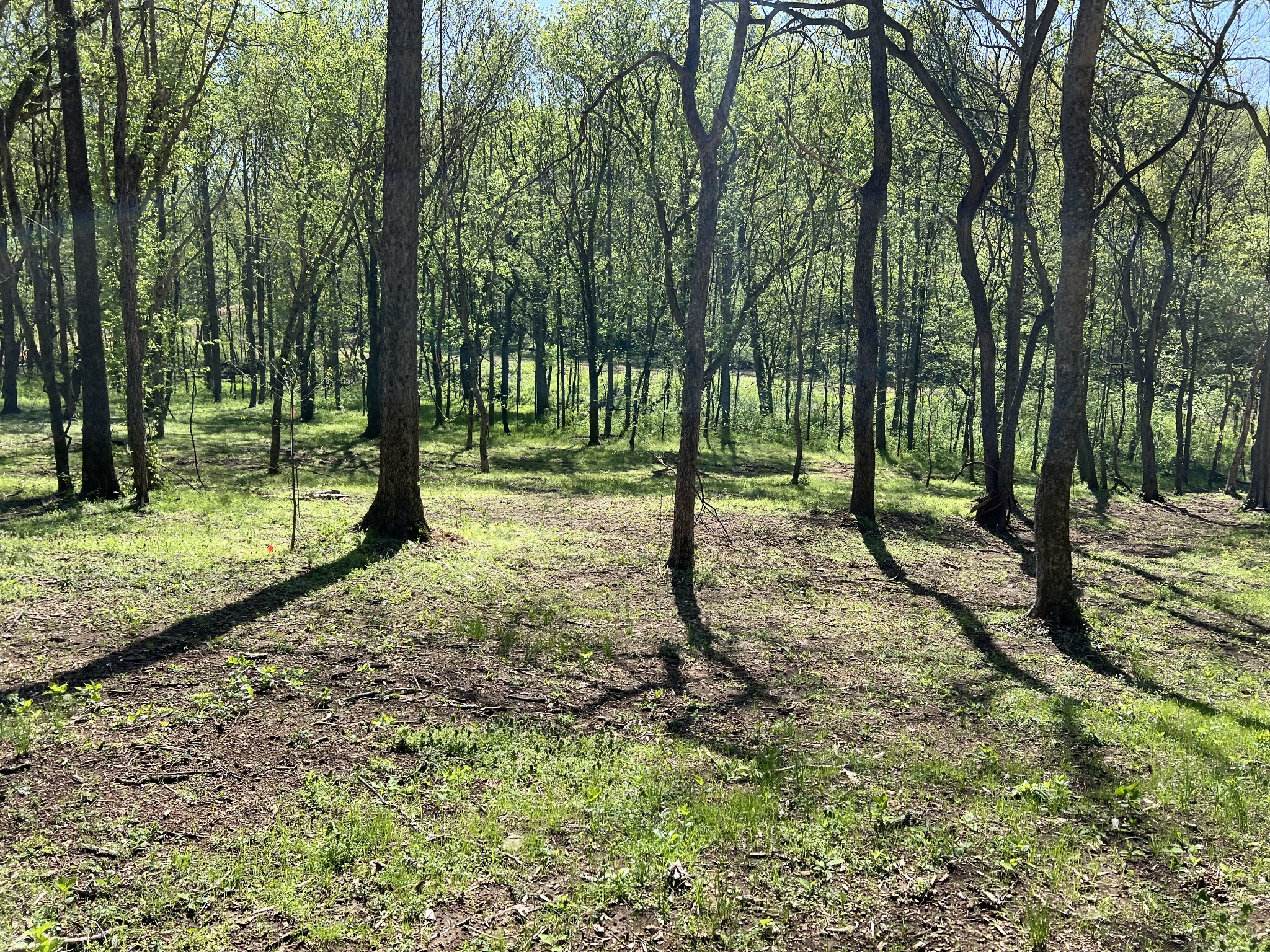 0 Preacher Holt Rd Property Photo 12