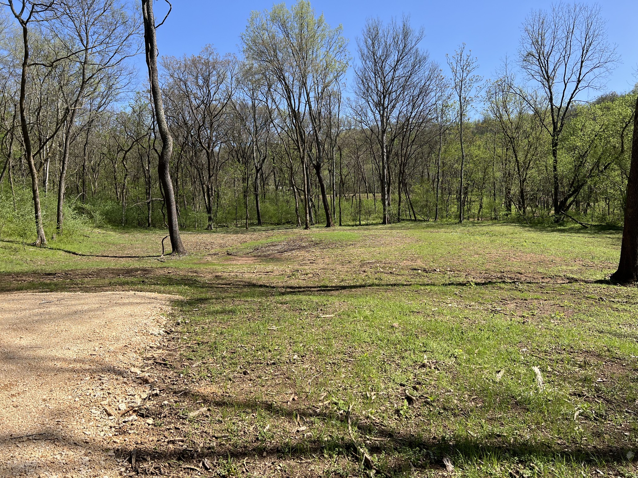0 Preacher Holt Rd Property Photo 13
