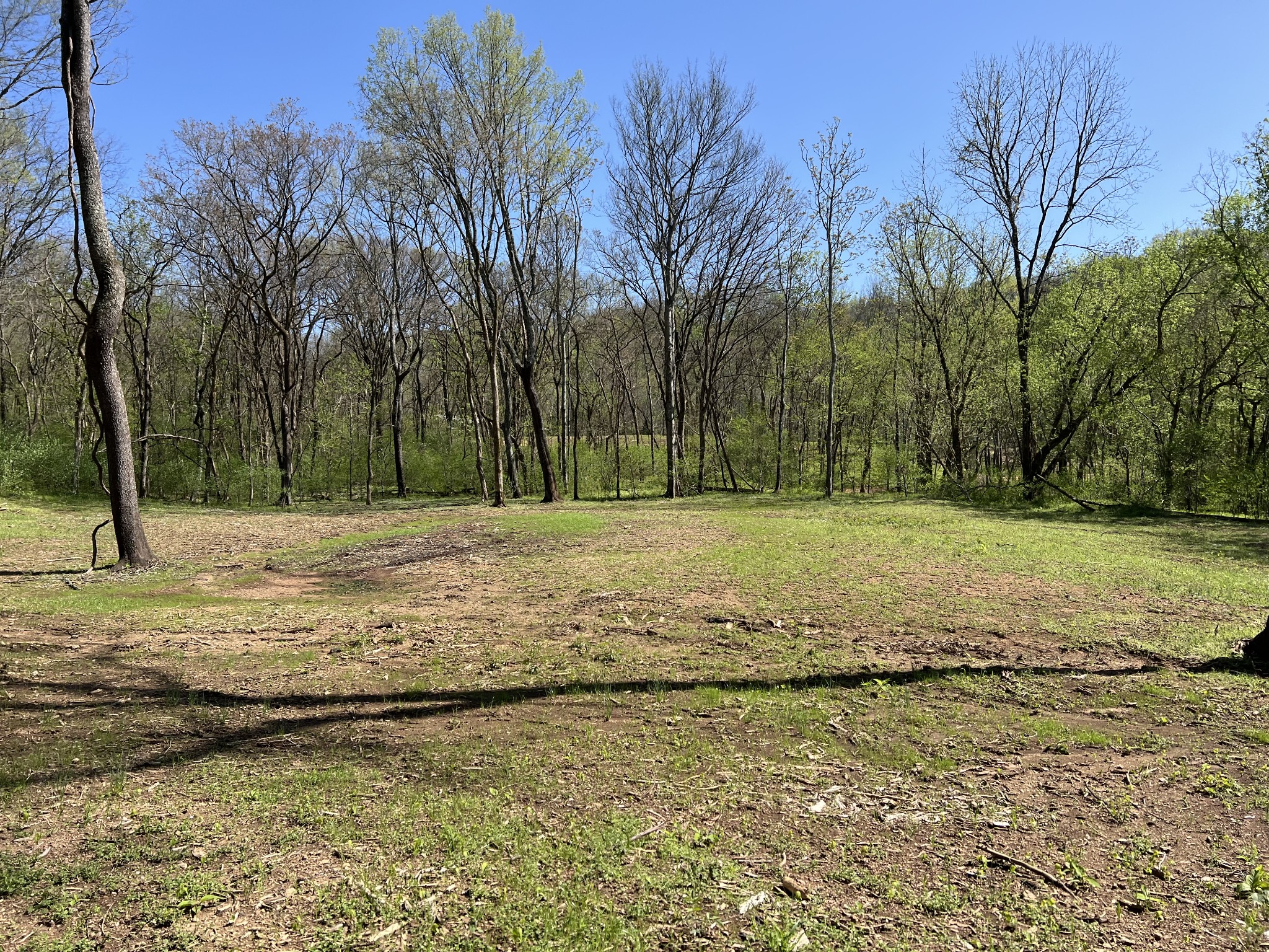 0 Preacher Holt Rd Property Photo 14