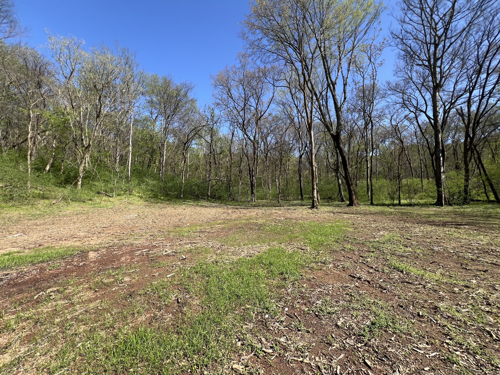 0 Preacher Holt Rd Property Photo 15