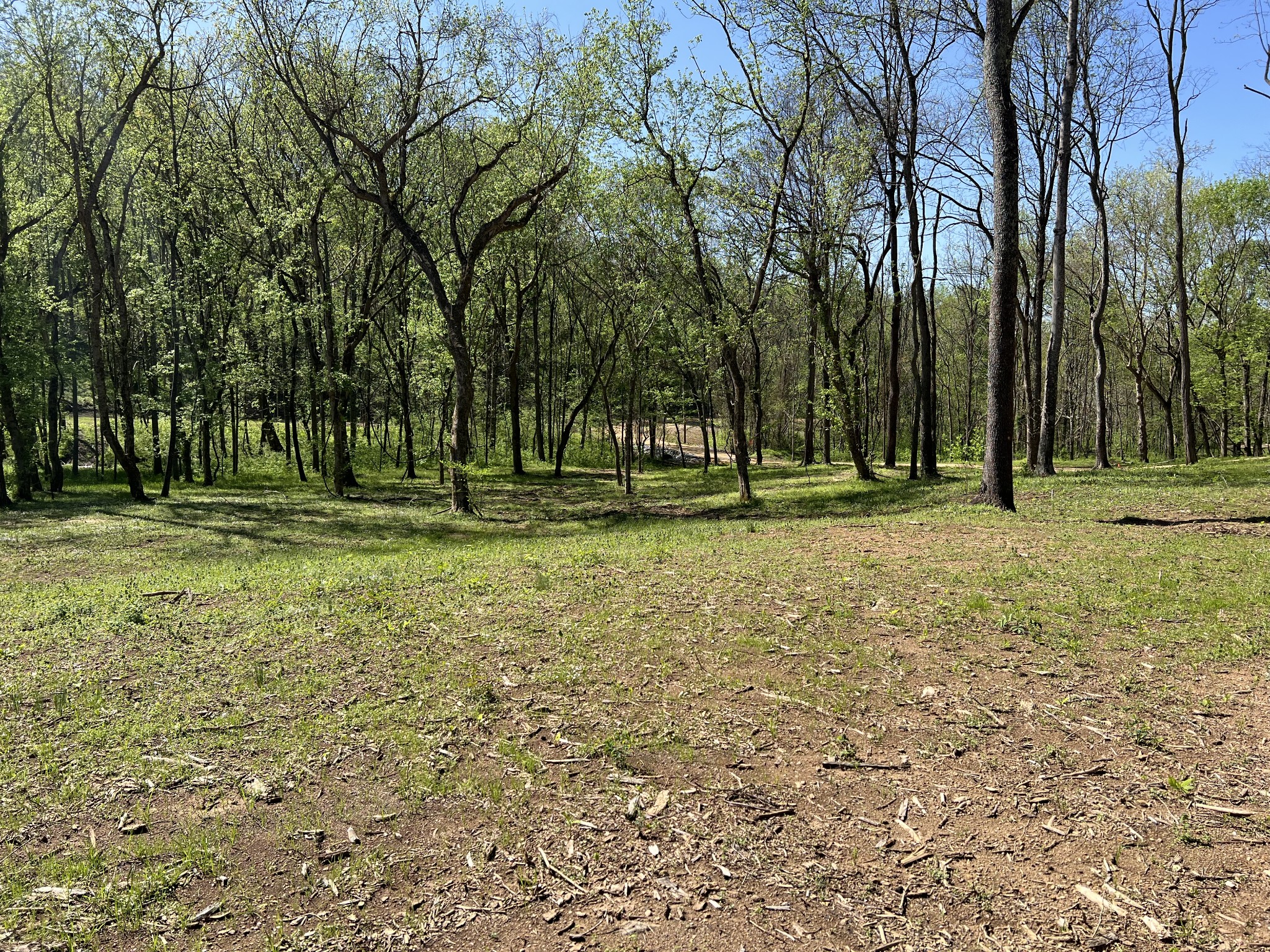 0 Preacher Holt Rd Property Photo 16