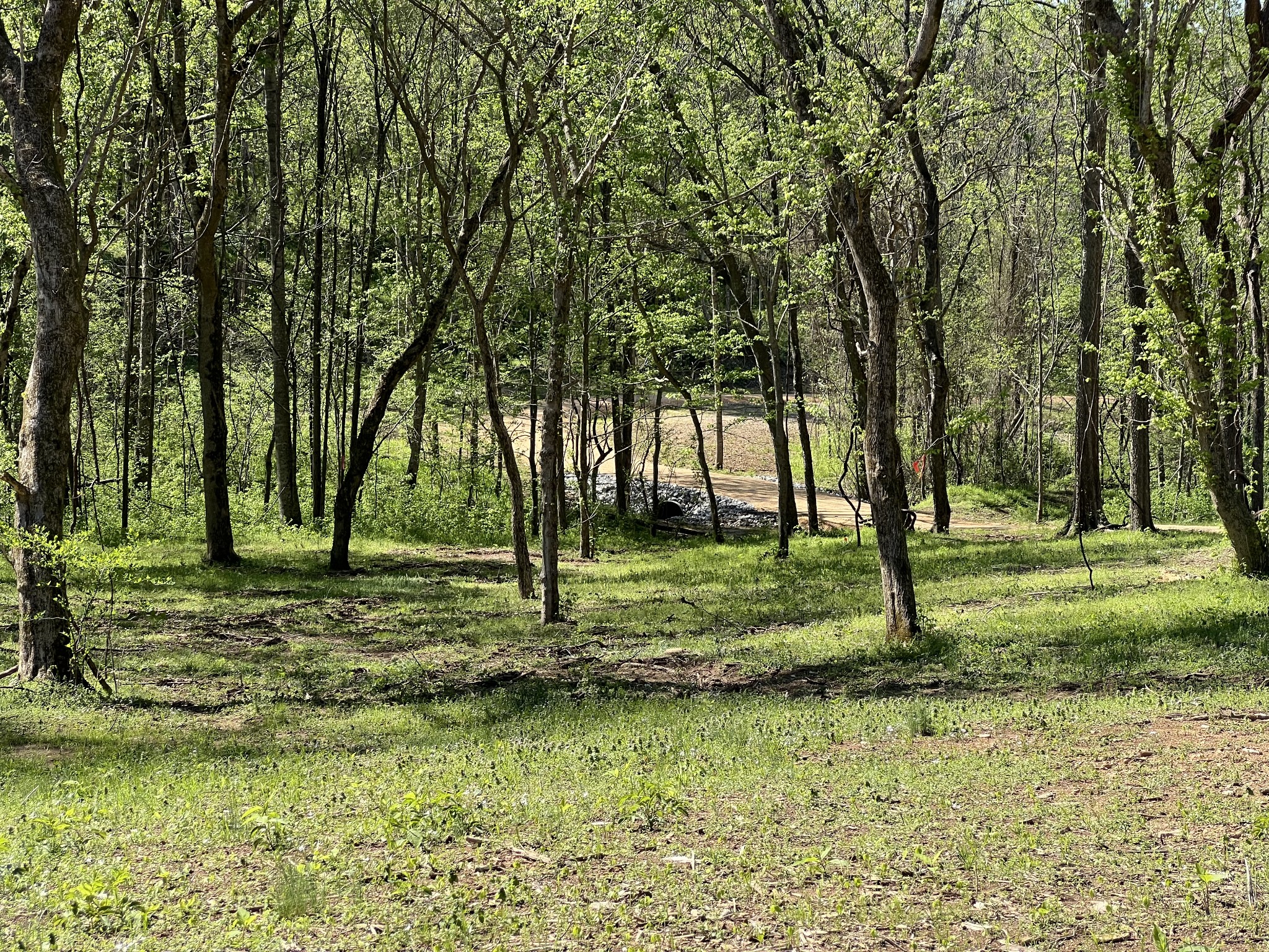 0 Preacher Holt Rd Property Photo 17