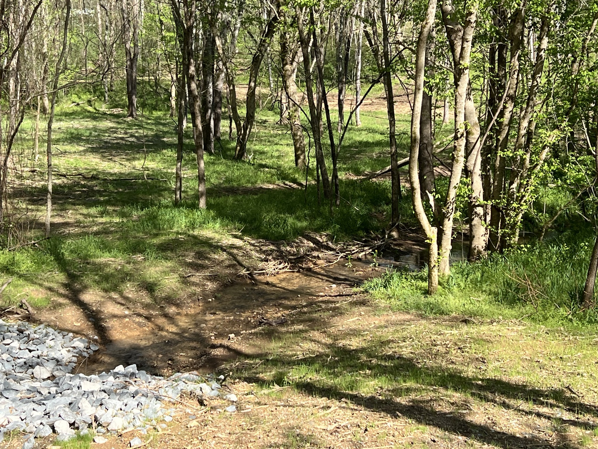 0 Preacher Holt Rd Property Photo 8