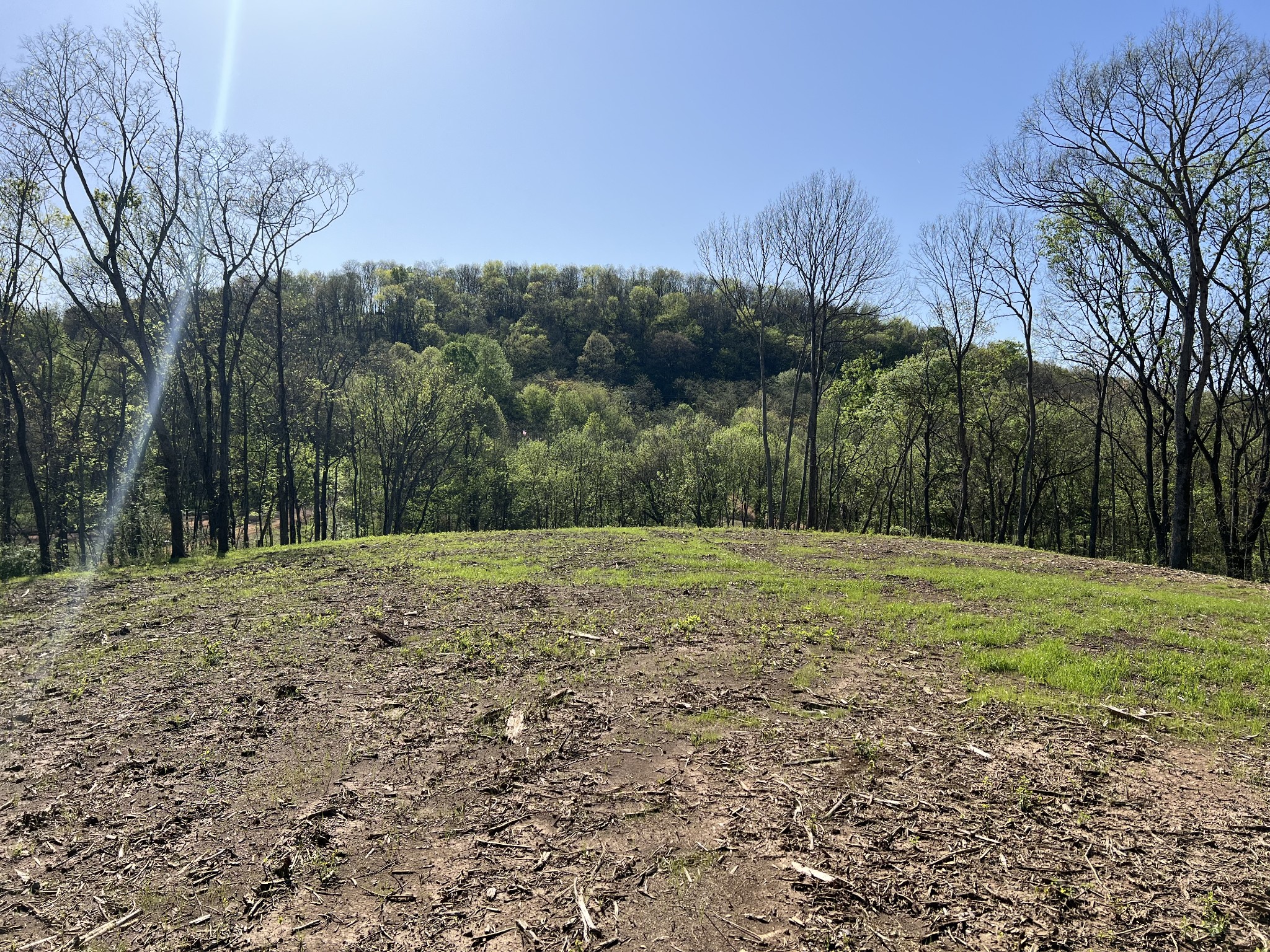 0 Preacher Holt Rd Property Photo 12