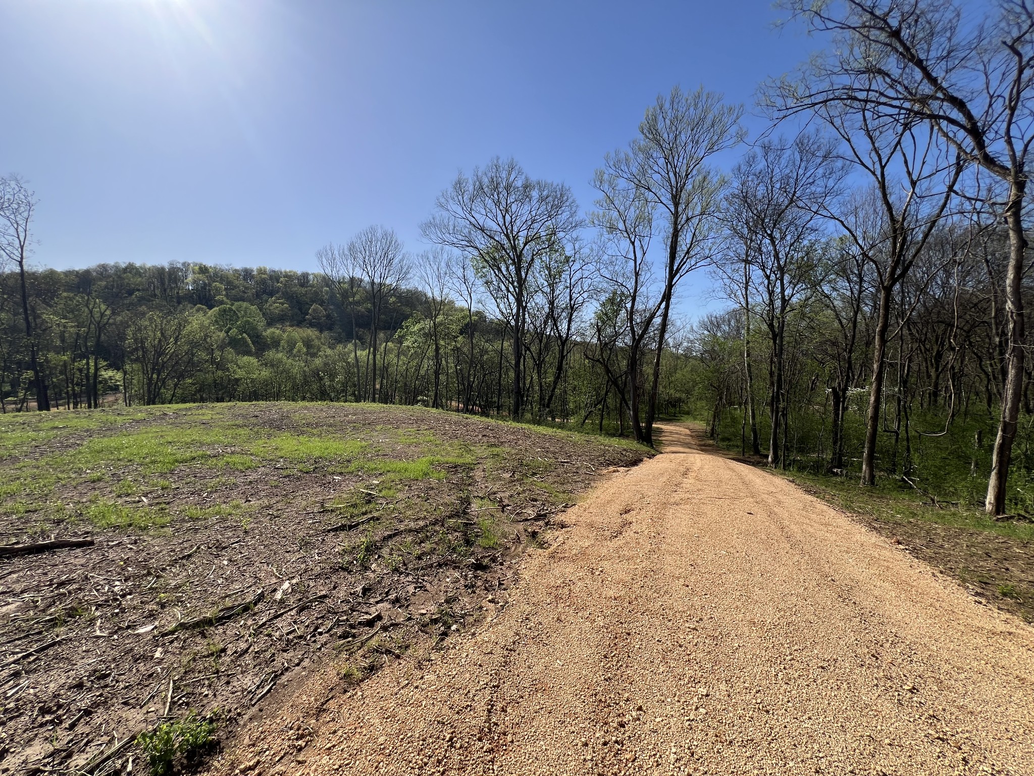 0 Preacher Holt Rd Property Photo 13