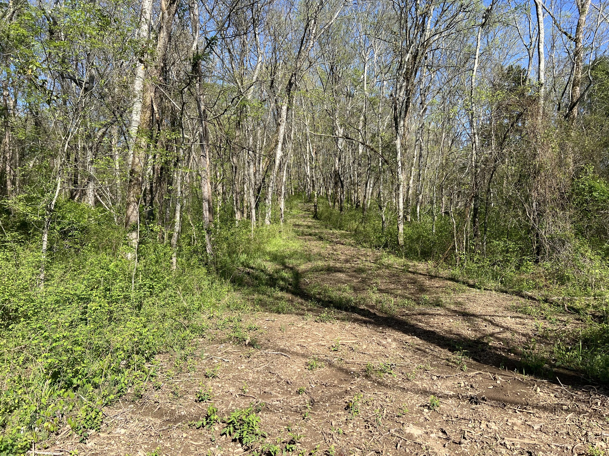 0 Preacher Holt Rd Property Photo 14