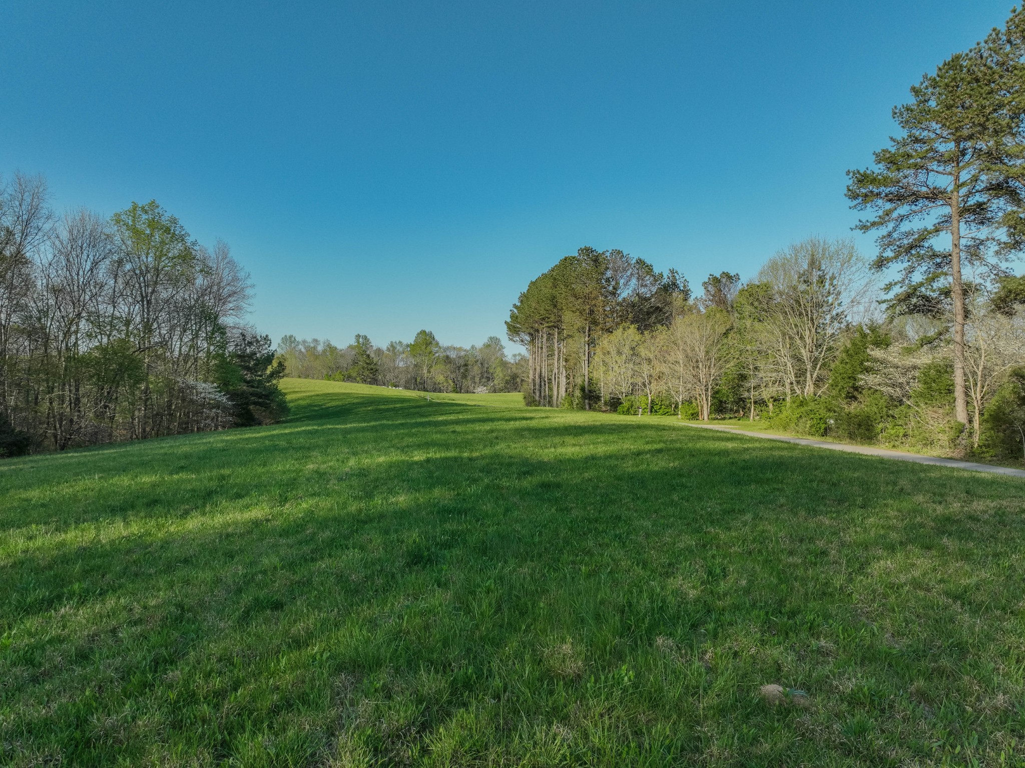 476 Waterloo Rd Property Photo 10