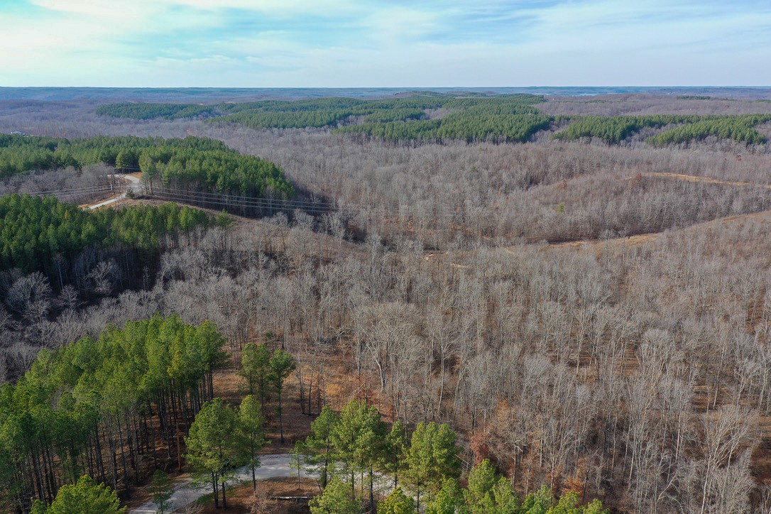 2340 Bear Hollow Drive Property Photo 6