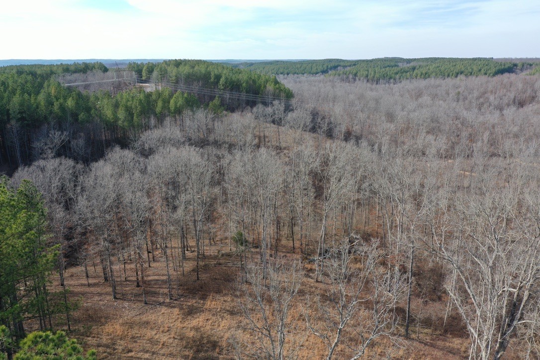 2340 Bear Hollow Drive Property Photo 9
