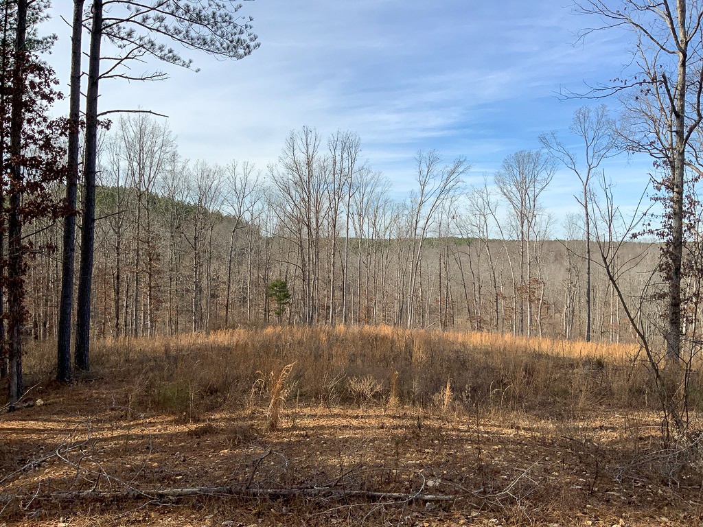 2340 Bear Hollow Drive Property Photo 14