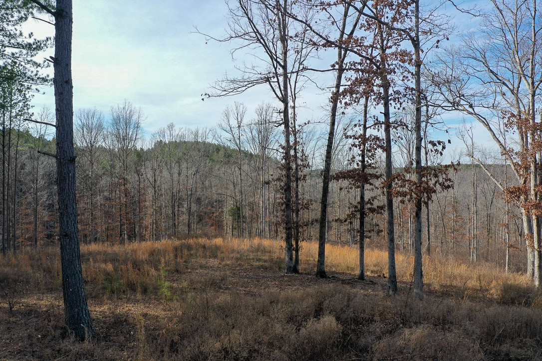 2340 Bear Hollow Drive Property Photo 16