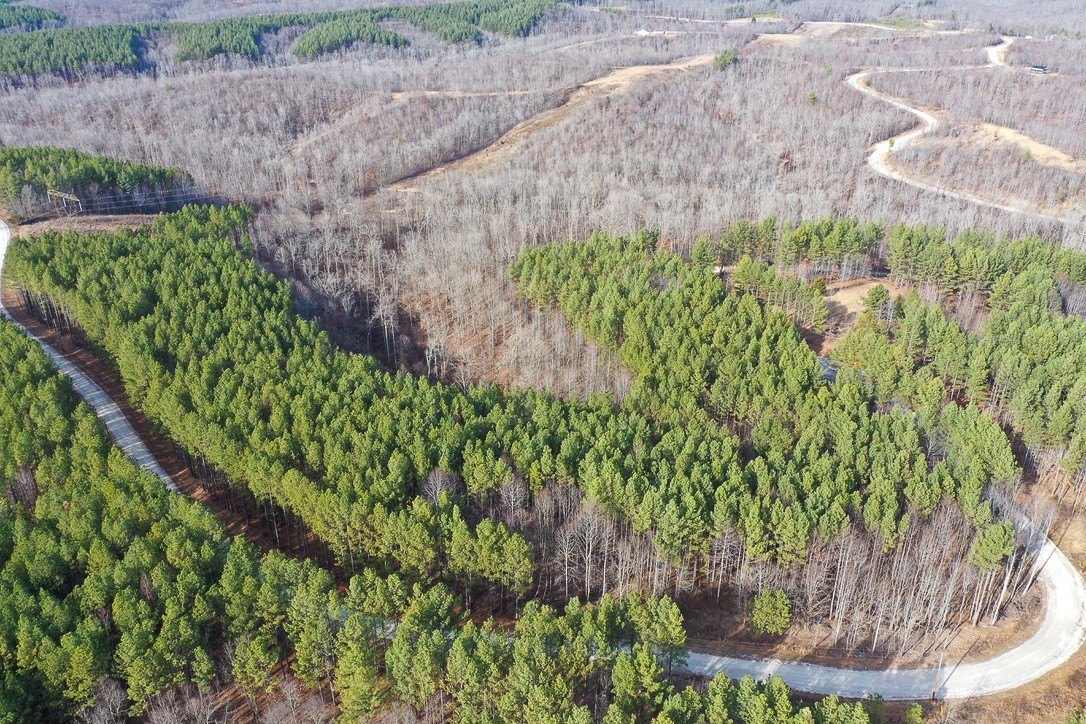 0 Bear Hollow Drive Property Photo 1