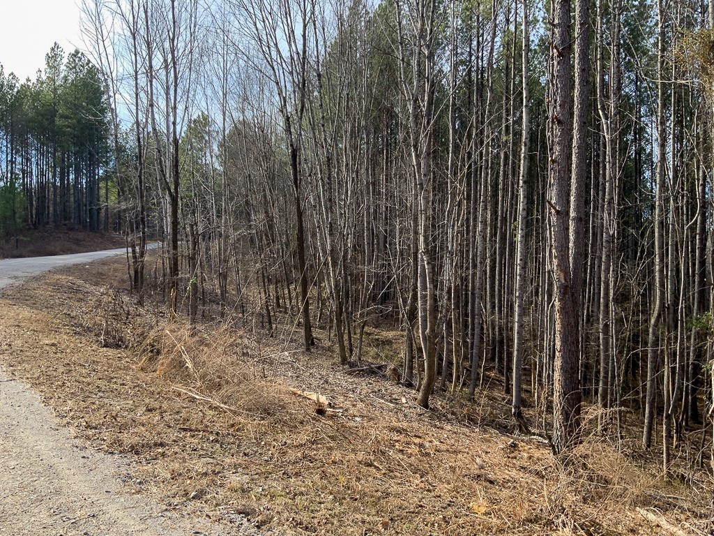 0 Bear Hollow Drive Property Photo 2