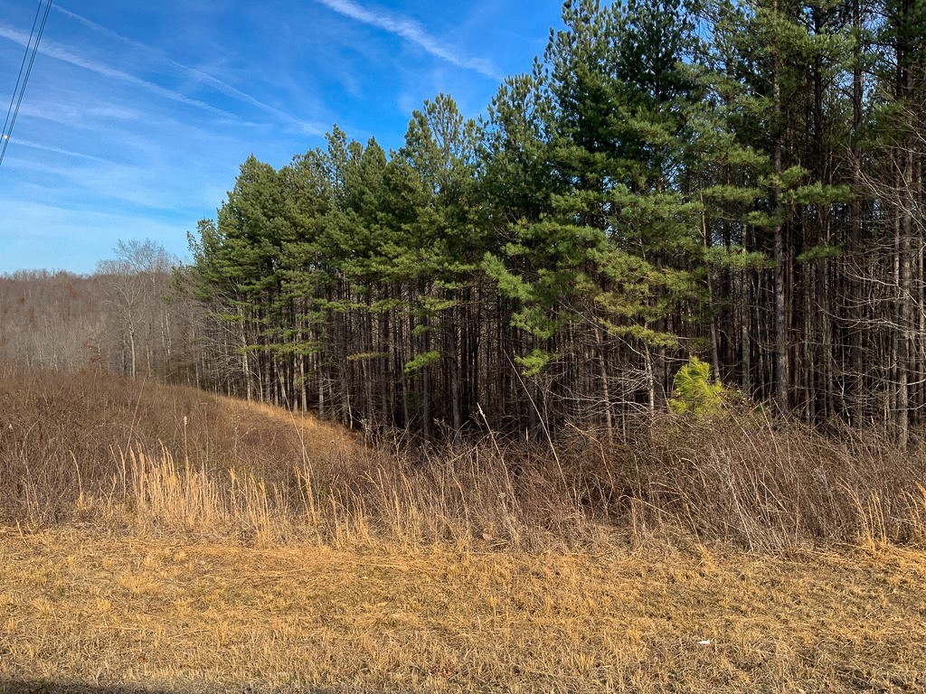 0 Bear Hollow Drive Property Photo 7