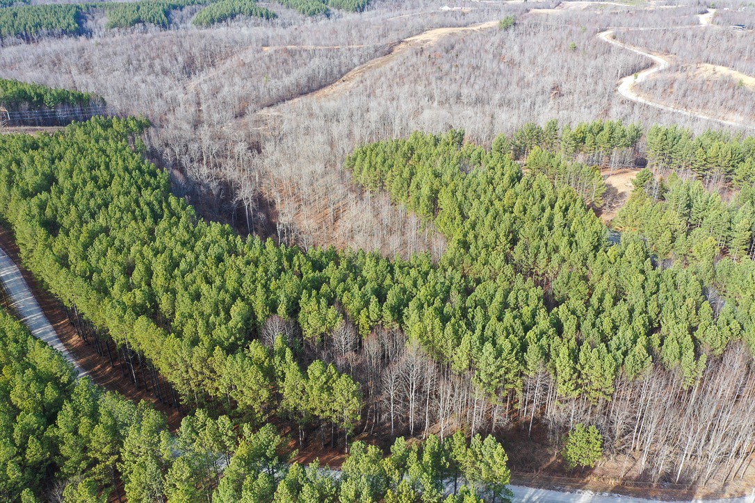 0 Bear Hollow Drive Property Photo 10
