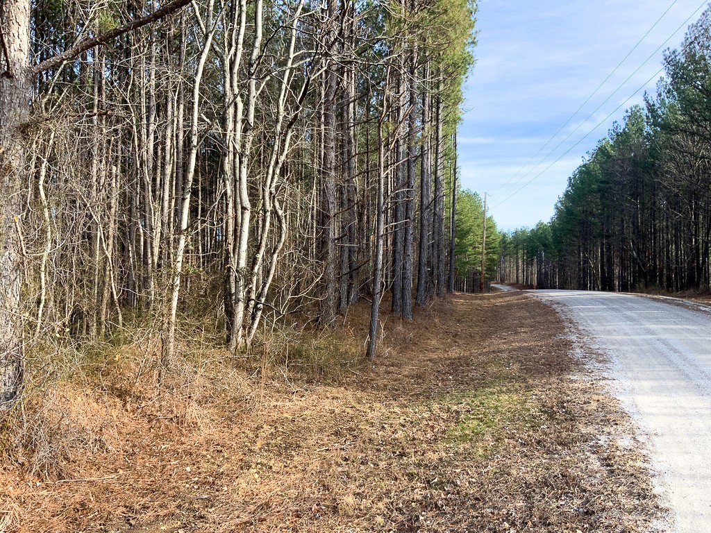 0 Bear Hollow Drive Property Photo 14