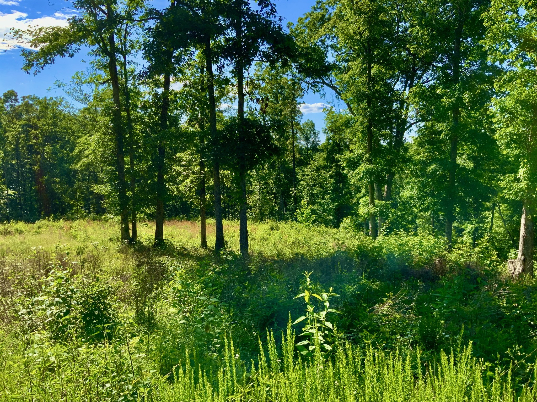 0 Bear Hollow Drive Property Photo 2