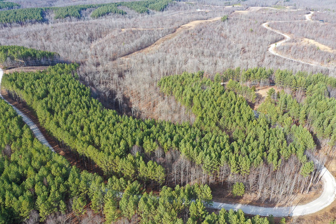 0 Bear Hollow Road Property Photo 3